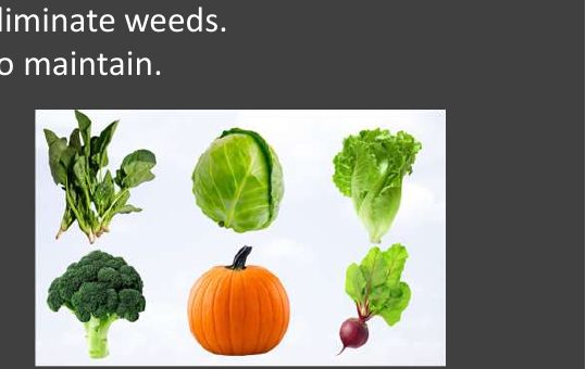 Range of crop types identified by BearClaw's weed targeting models